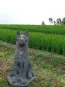 morepic-1